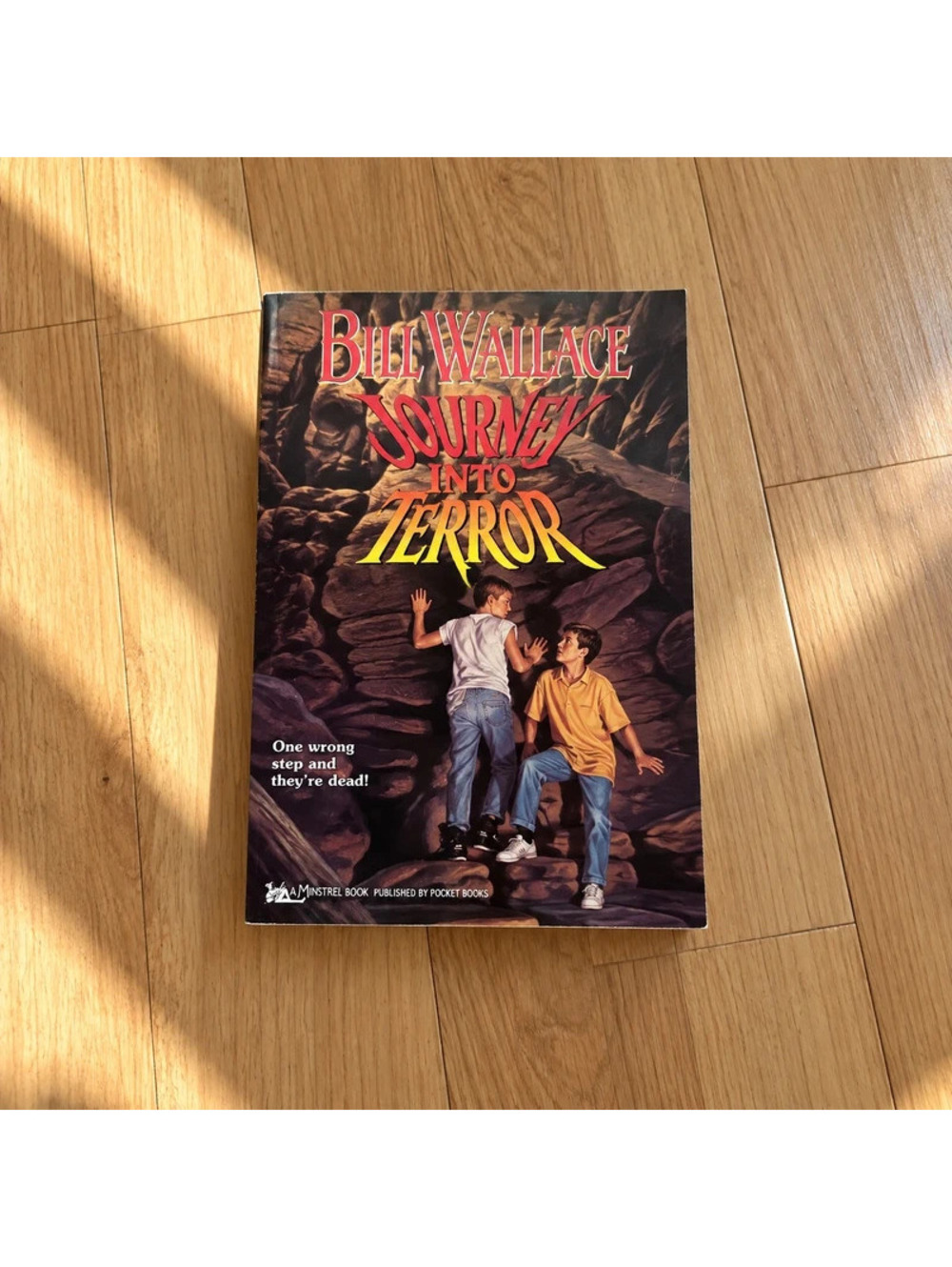 Journey Into Terror Bill Wallace 1996 Minstrel Paperback Kids Thriller